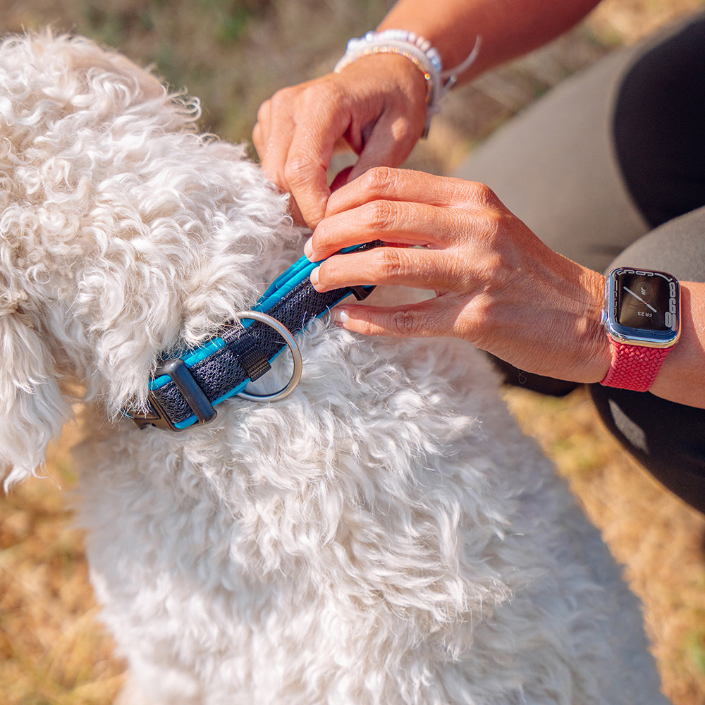 Nobby Hundehalsband "Mesh Preno" – Neopren gepolstert, stufenlos verstellbar