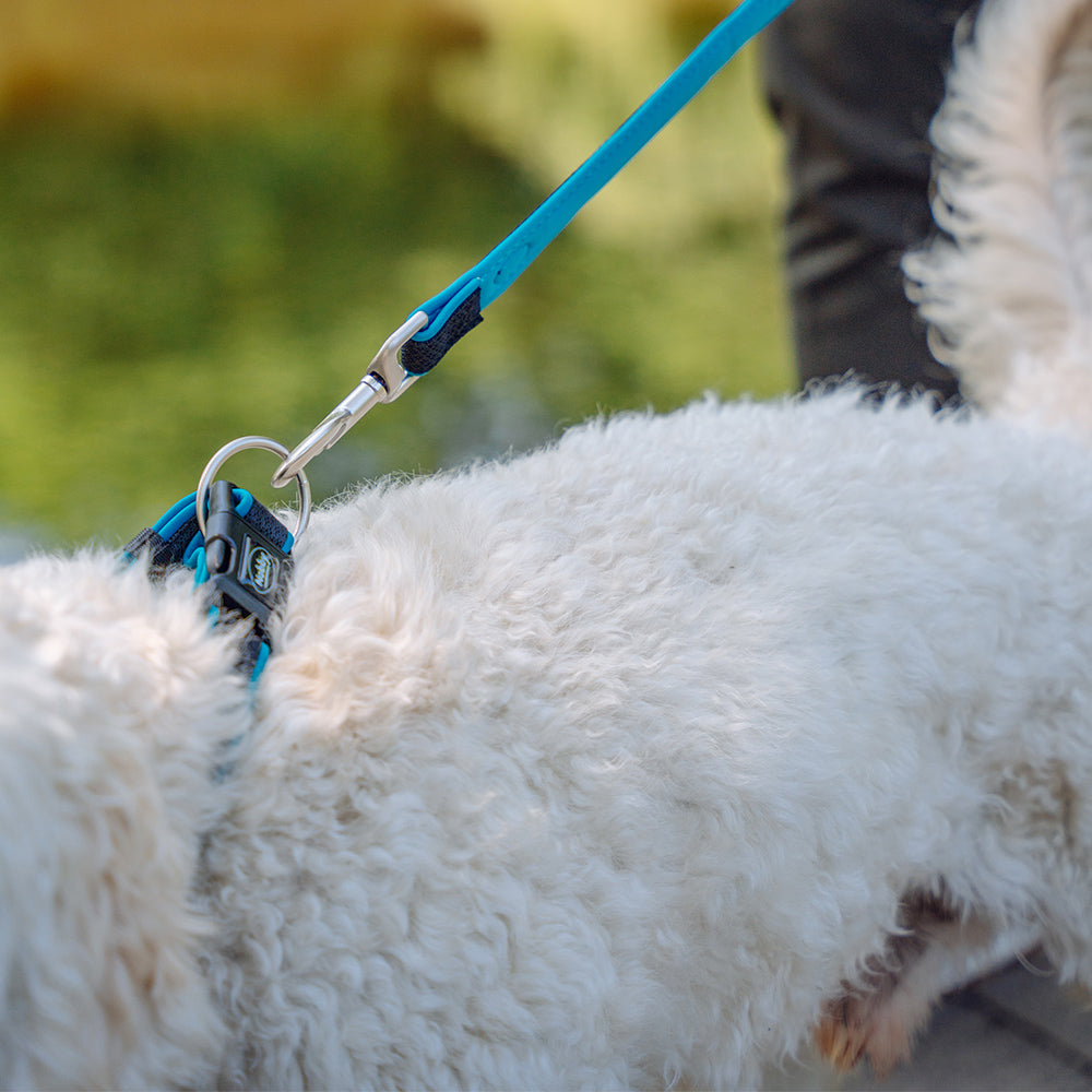 Nobby Hundehalsband "Mesh Preno" – Neopren gepolstert, stufenlos verstellbar